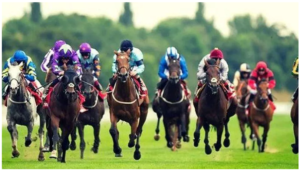 cá cược đua ngựa hiệu quả